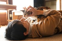 「劇場版 ねこ物件」