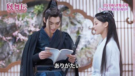 「鳳舞伝 Dance of the Phoenix」