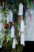 キャスト陣による願い事が書かれた短冊。