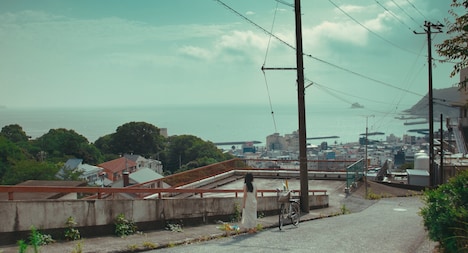 「あの娘は知らない」