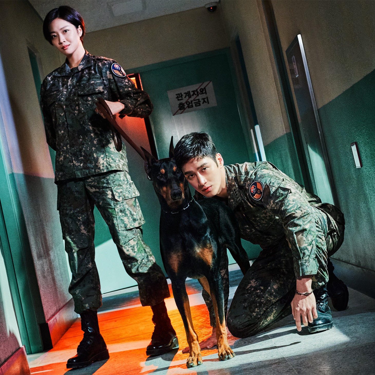「軍検事ドーベルマン」メインビジュアル