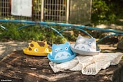 ちぃぼうし(全3種・税込各3080円)