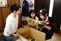 「暴太郎戦隊ドンブラザーズ THE MOVIE 新・初恋ヒーロー」