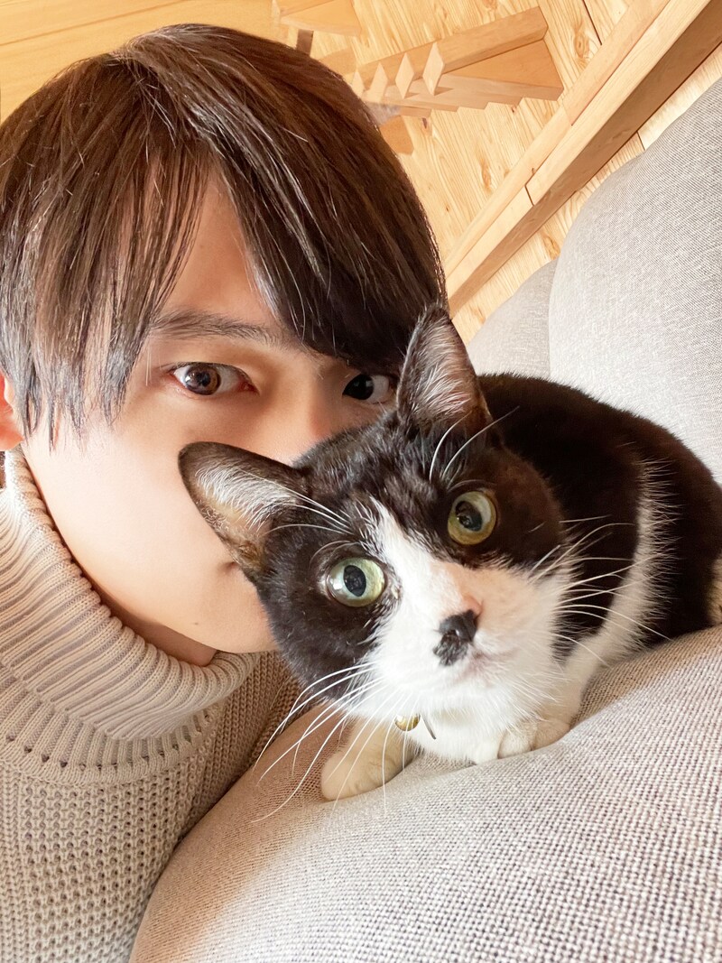 「劇場版 ねこ物件」オフショット(古川雄輝)