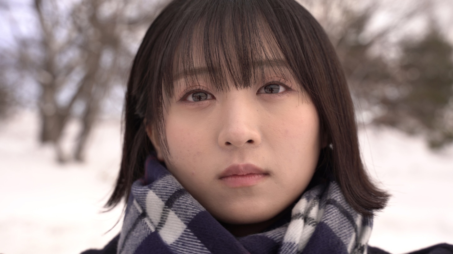「雪国物語」