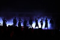 麦わらの一味の声優陣。