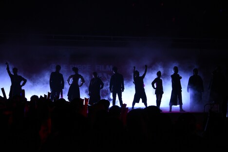 麦わらの一味の声優陣。