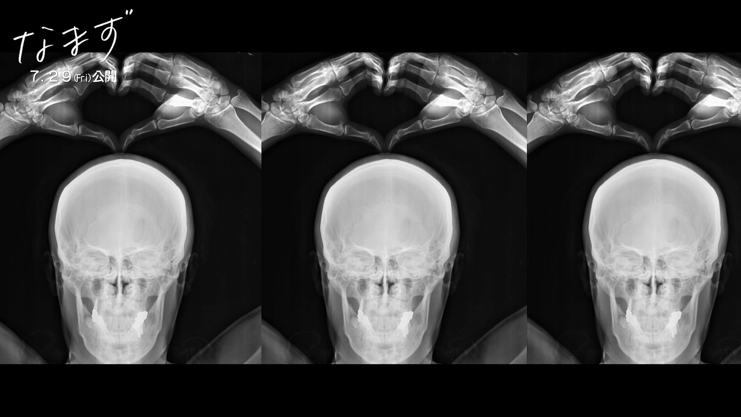 「なまず」冒頭映像より。