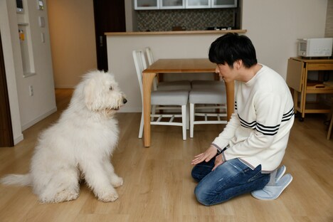 「ハウ」オフショット