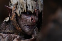 「ロード・オブ・ザ・リング：力の指輪」新場面写真