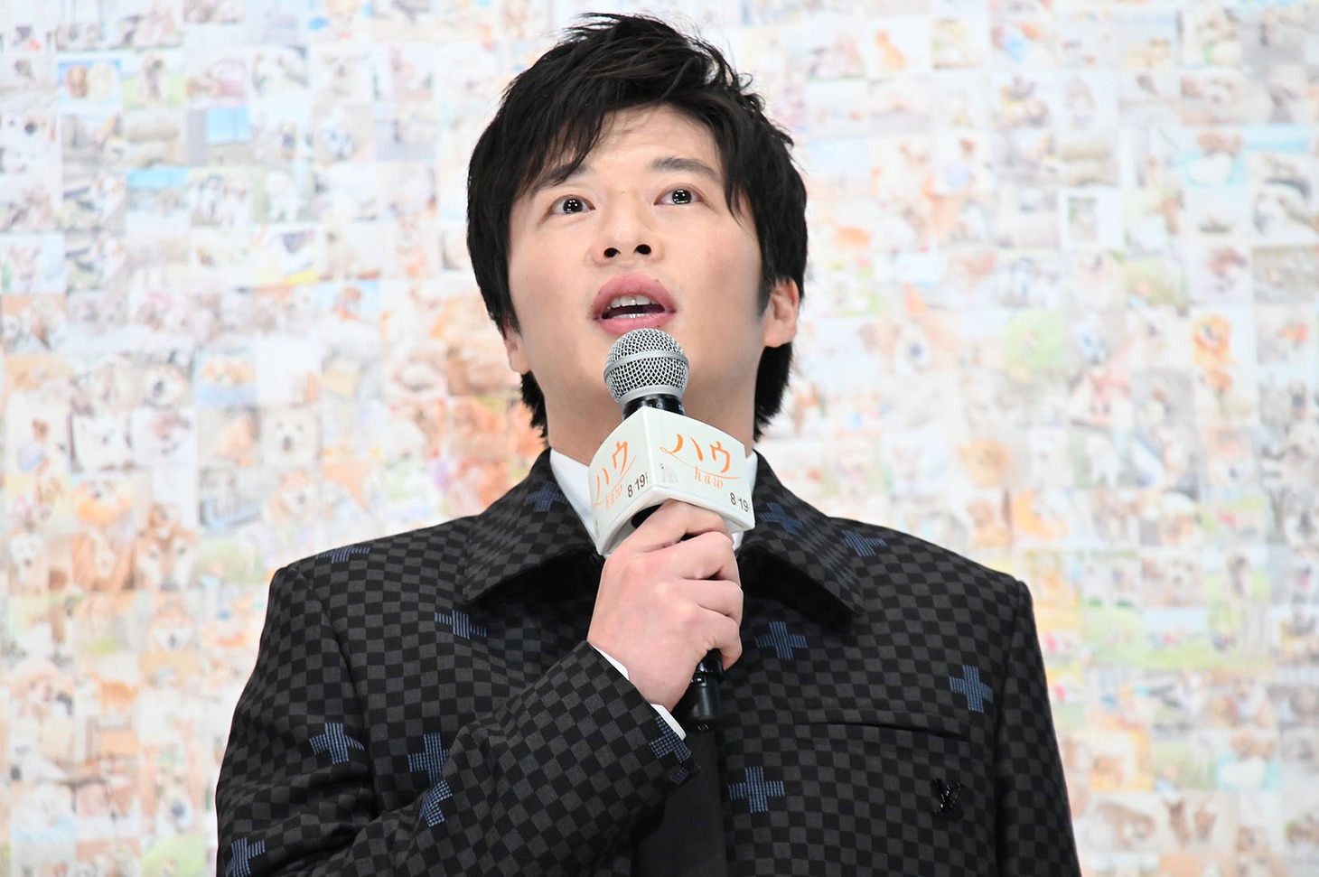 田中圭