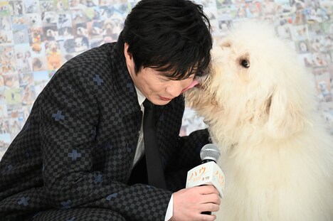 挨拶中にベック（右）から頬を舐められる田中圭（左）。