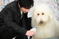 左から田中圭、ベック。