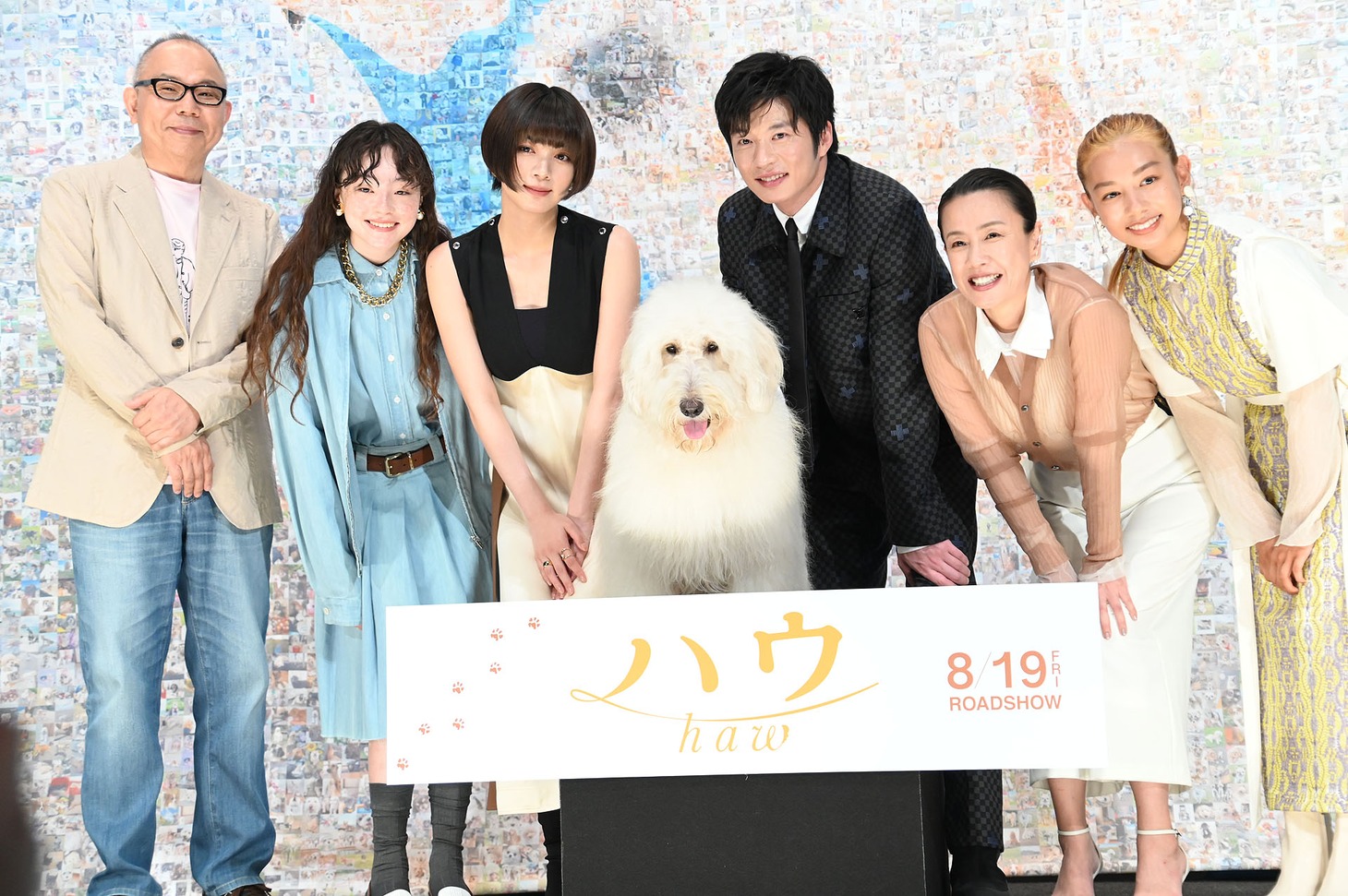 「ハウ」完成披露上映会の様子。左から犬童一心、モトーラ世理奈、池田エライザ、ベック、田中圭、渡辺真起子、長澤樹。