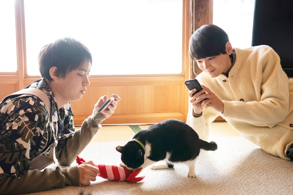 「劇場版 ねこ物件」
