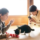 猫だらけ!「劇場版 ねこ物件」古川雄輝、細田佳央太らがスマホを囲んではしゃぐ