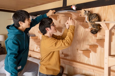 「劇場版 ねこ物件」