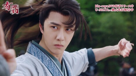 「有翡（ゆうひ） -Legend of Love-」