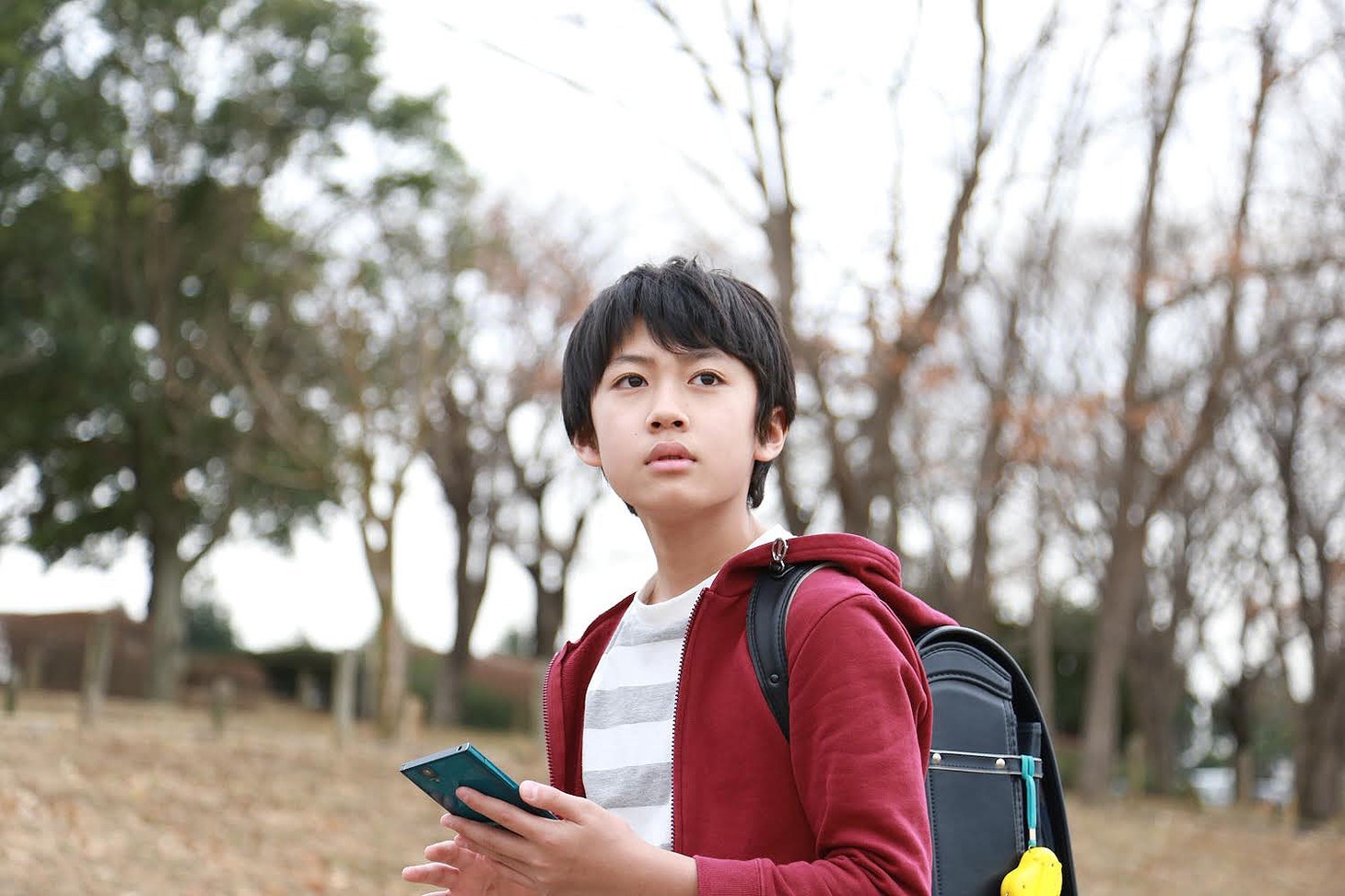 「カントリーライフ」ビジュアル