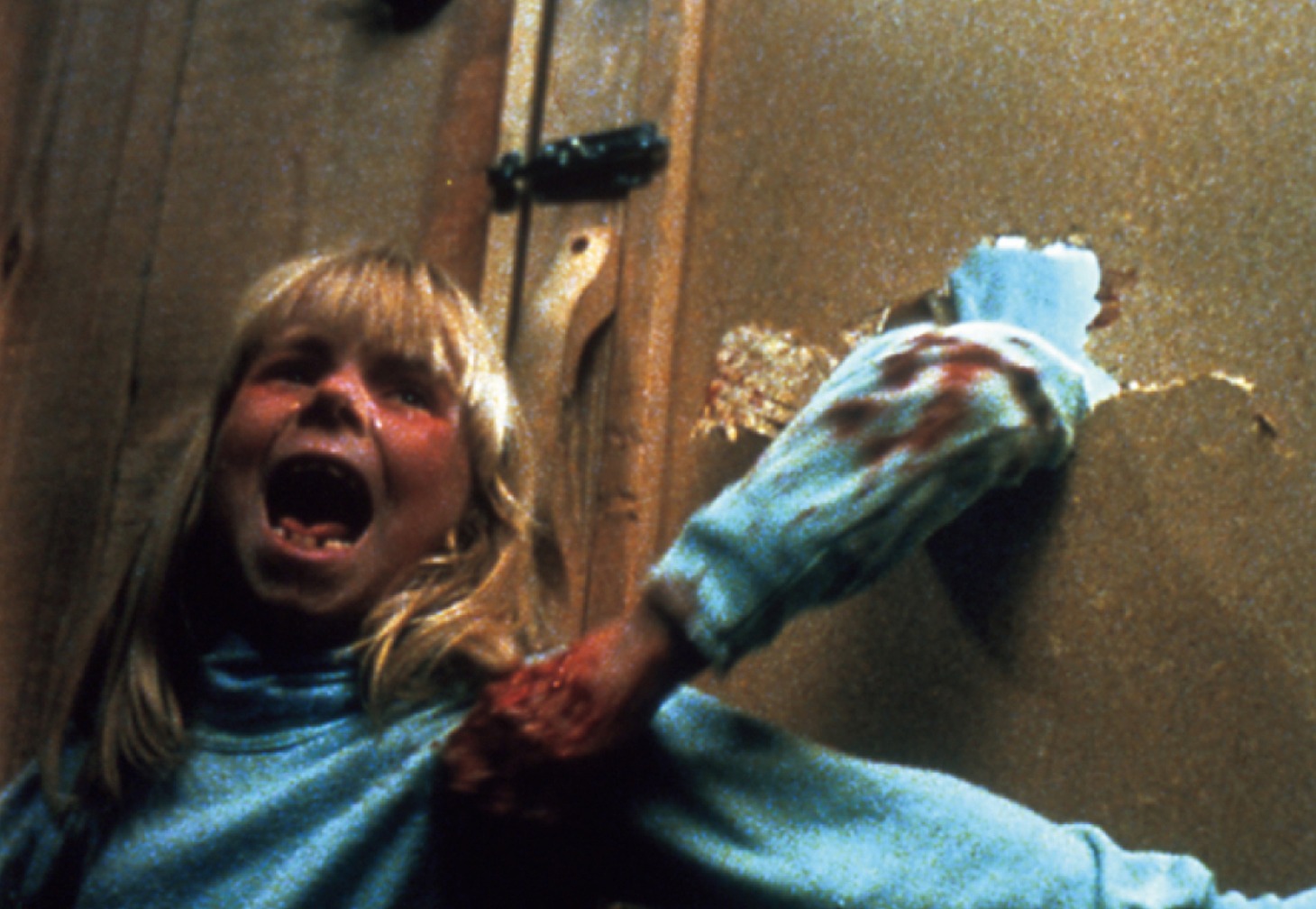 「ザ・ブルード 怒りのメタファー」 (c)1979 The Brood Films Inc. All rights reserved