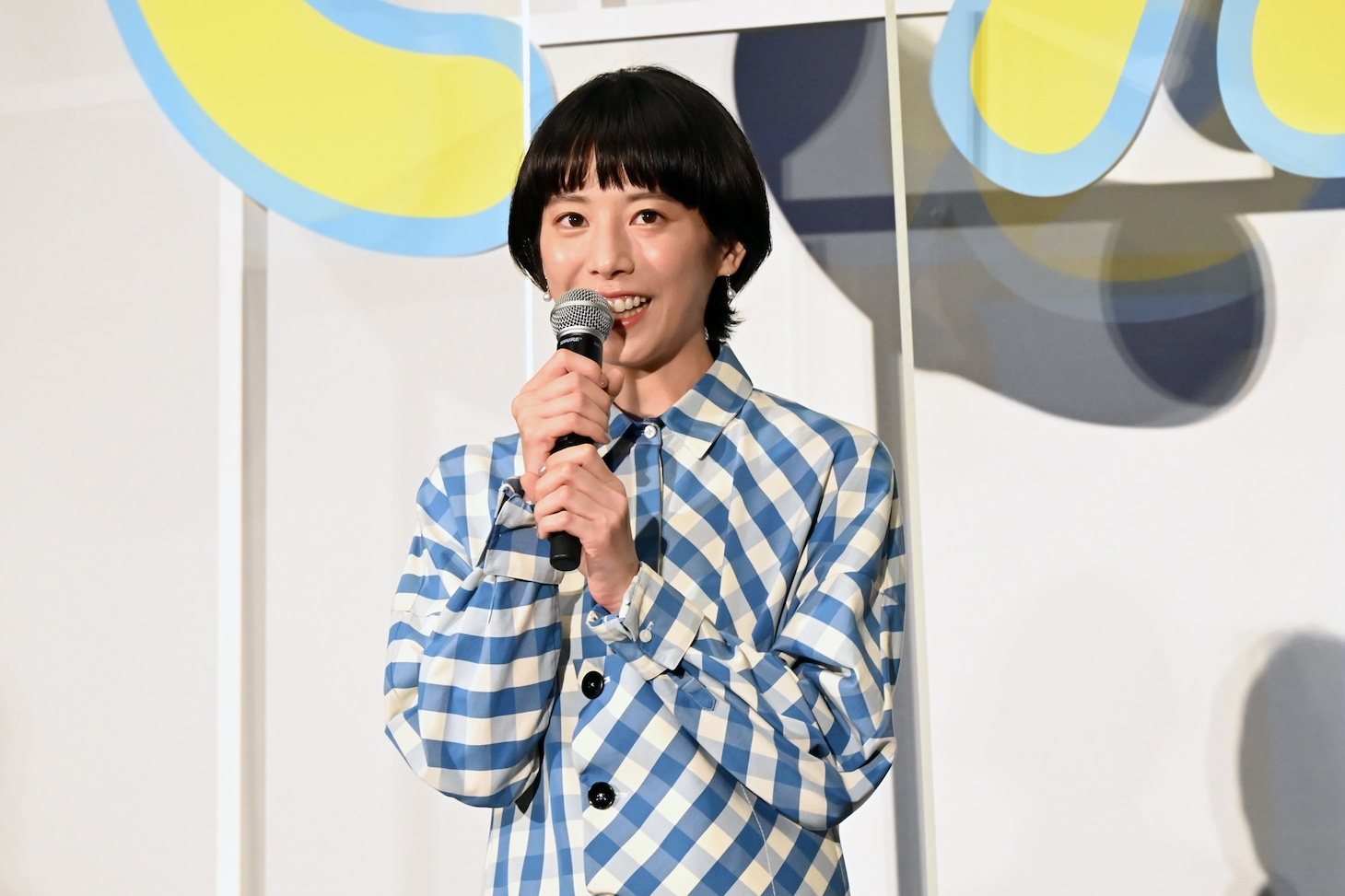 夏帆
