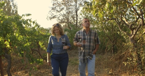 「戦地で生まれた奇跡のレバノンワイン」