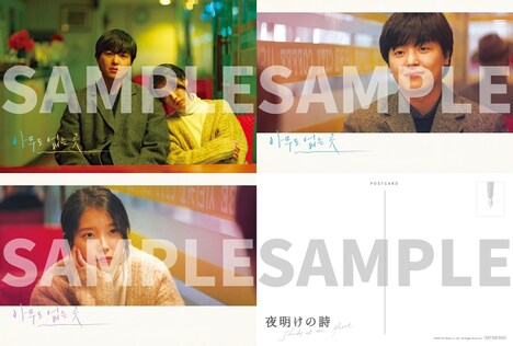 「夜明けの詩」全国共通特別鑑賞券の特典ポストカードセット（サンプル）。