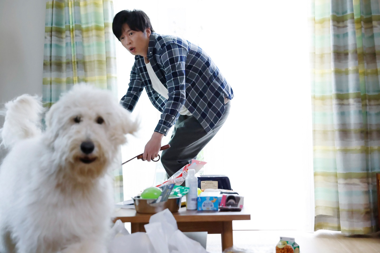 「ハウ」新場面写真