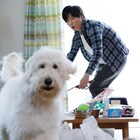 「ハウ」田中圭が元気な愛犬に振り回される、日常切り取った本編映像