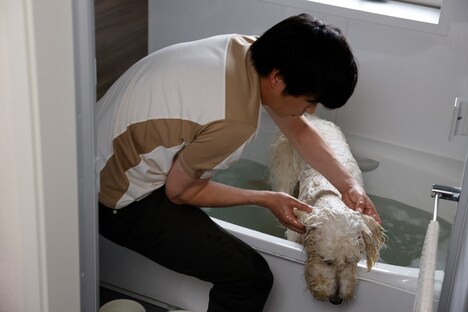 「ハウ」新場面写真