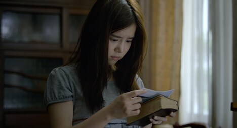 「ボーダレス アイランド」