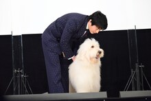 ベック（右）をなだめる田中圭（左）。