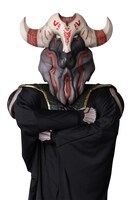 マスターアルーデ