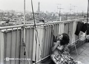 「(秘)色情めす市場」