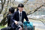 「やまぶき」