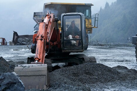 「やまぶき」新場面写真