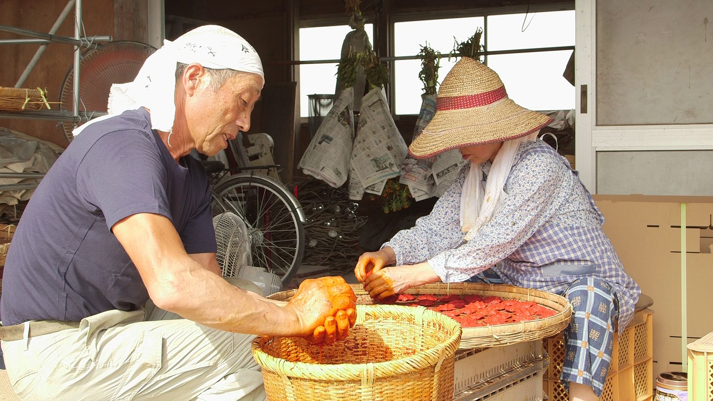 「紅花の守人 いのちを染める」