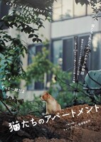 「猫たちのアパートメント」ティザービジュアル