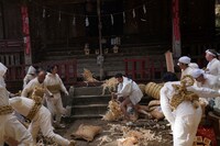 「生きている。」