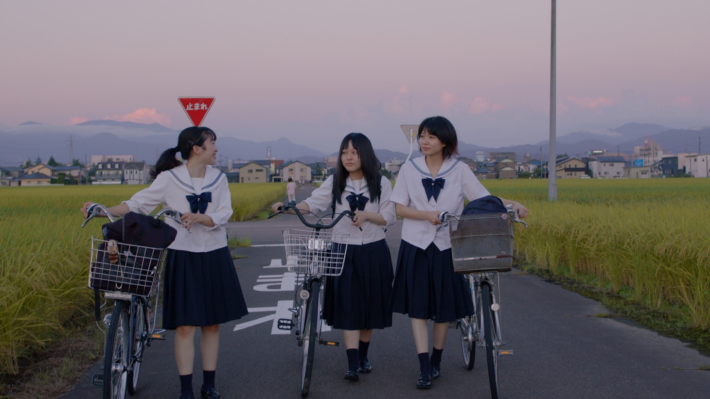 「福井のおと（仮題）」