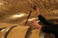 「ソウル・オブ・ワイン」新場面写真