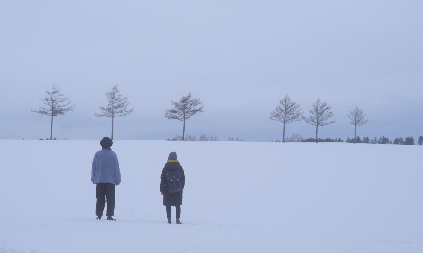 「薄氷のドーヴ」