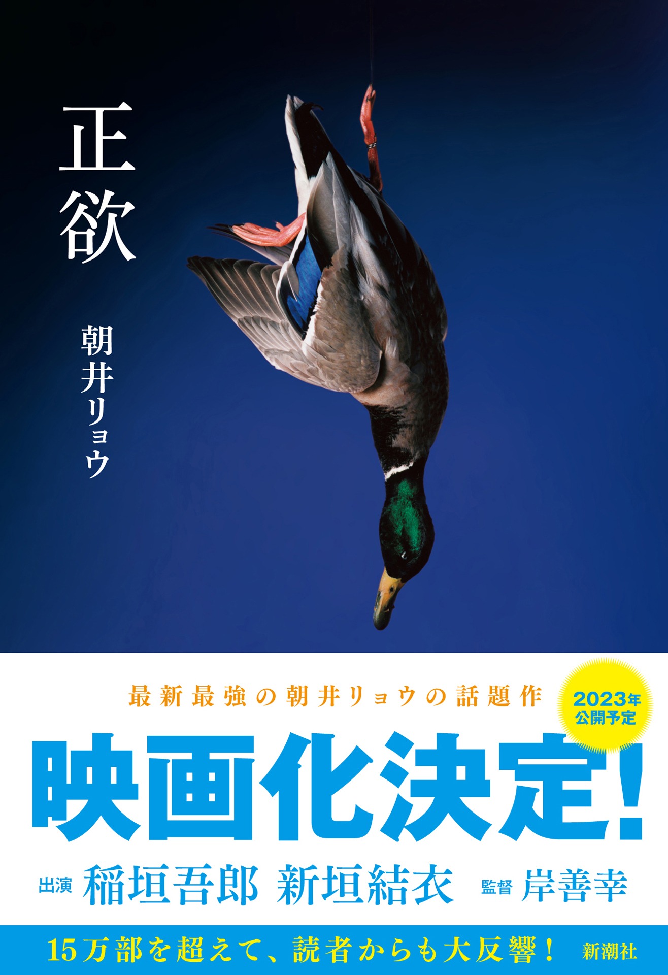 原作「正欲」書影
