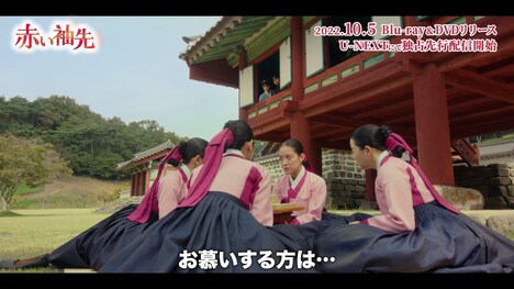 「赤い袖先」スペシャルPVより。