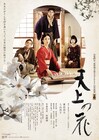 東出昌大×入山法子「天上の花」特報解禁、ビジュアルにはコブシの花