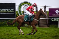 「ドリーム・ホース」