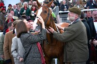 「ドリーム・ホース」