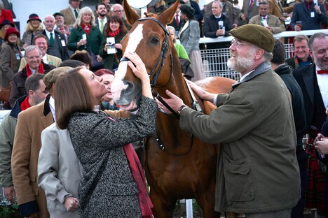 「ドリーム・ホース」