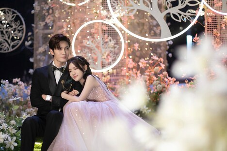 「リミット・ラブ~命短し恋せよオトメ!~」