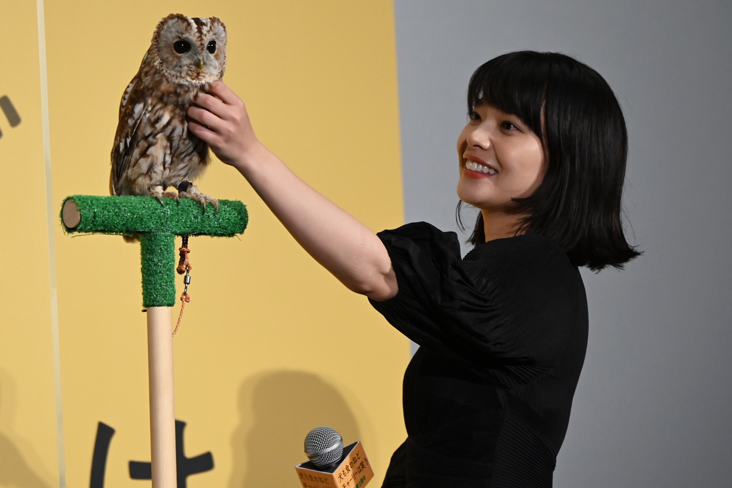 マルちゃんを撫でる岸井ゆきの。